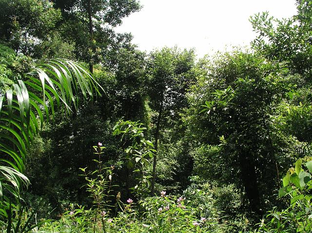 6.Sentosa, Drachenpfad 518.JPG